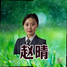 赵晴